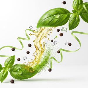 Basil Accord