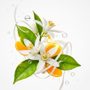 ORANGE BLOSSOM
